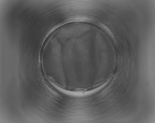 X0000068811226200606021542