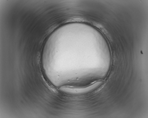 X0000068811233200606021542