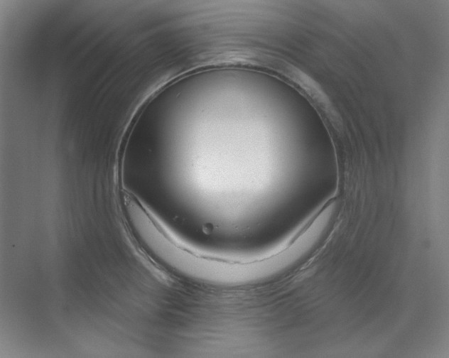 X0000068811234200606021542