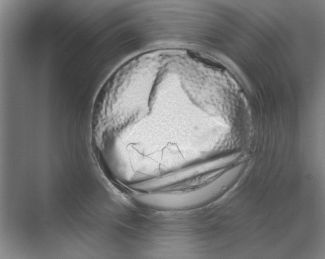 X0000068811244200606021543