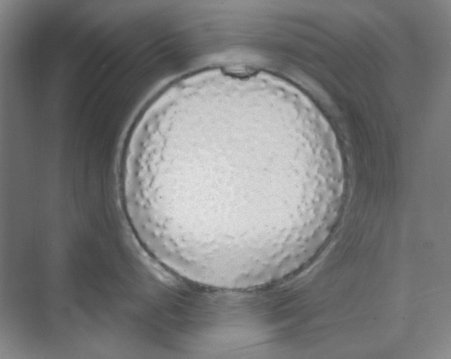 X0000068811248200606021543