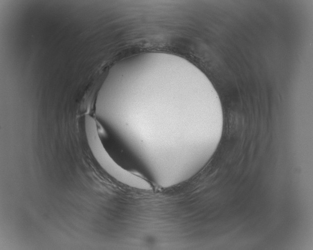 X0000068811250200606021542