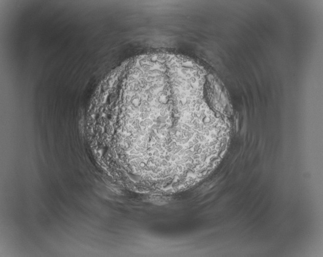 X0000068811251200606021542
