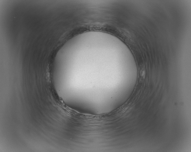 X0000068811252200606021542