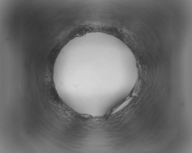 X0000068811253200606021542