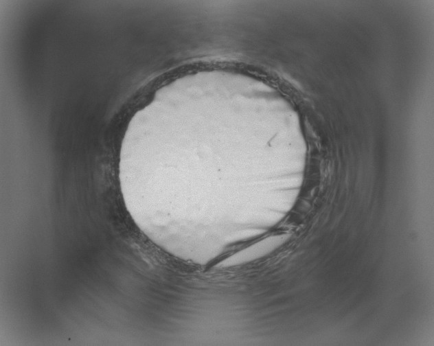 X0000068811255200606021542