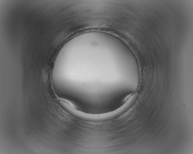 X0000068811257200606021542