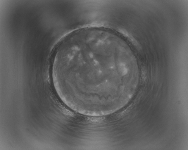 X0000068811262200606021542