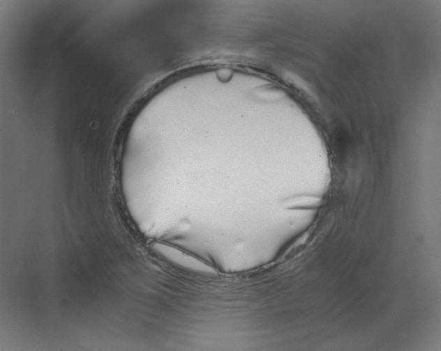 X0000068811267200606021542