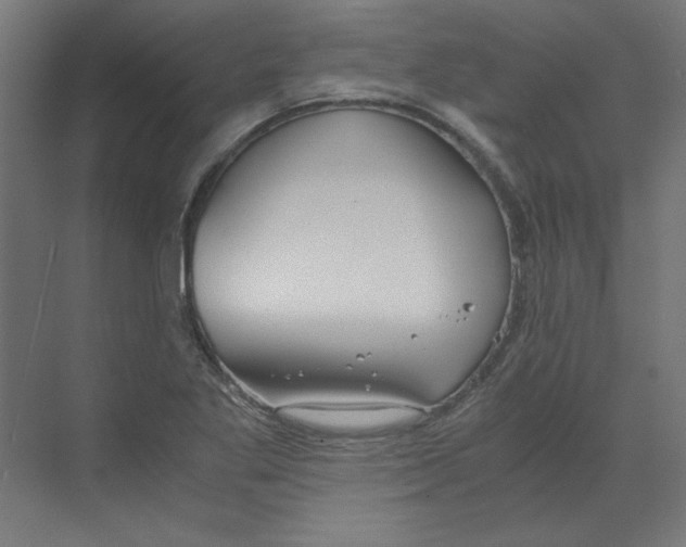 X0000068811269200606021541