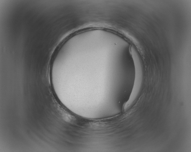X0000068811272200606021541