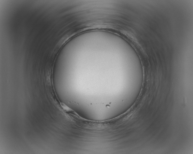 X0000068811273200606021541