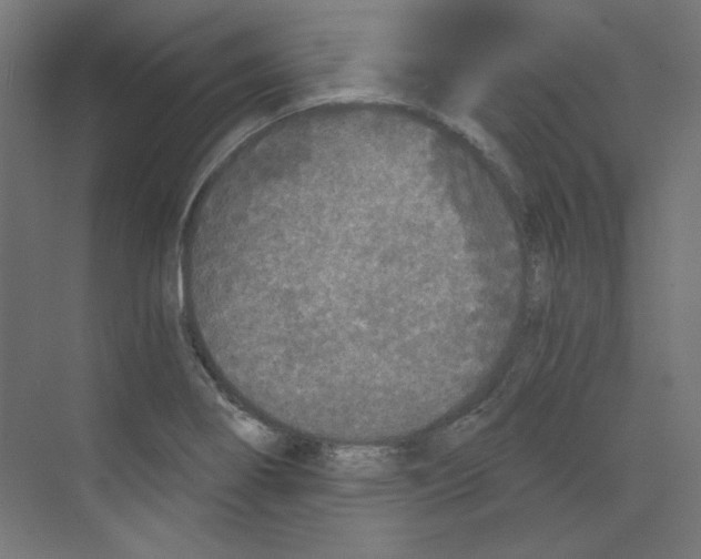 X0000068811274200606021541
