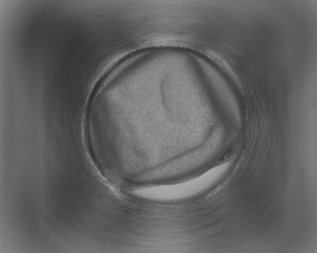 X0000068811277200606021541