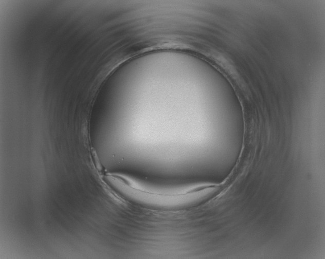 X0000068811281200606021541
