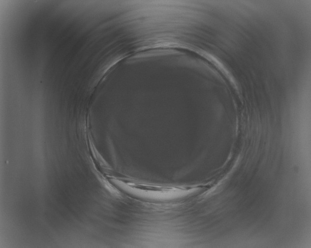 X0000068811289200606021541