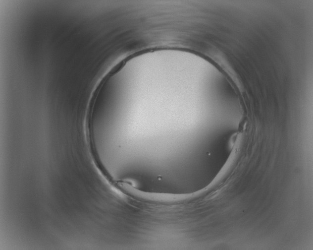 X0000068811293200606021541