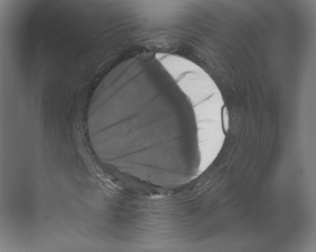 X0000068811297200606021540