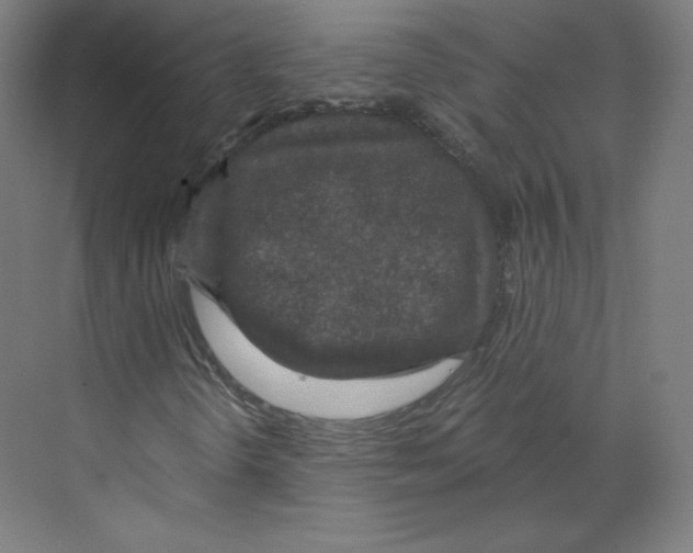 X0000068811298200606021540