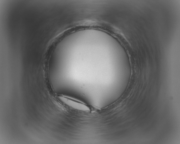 X0000068811304200606021540
