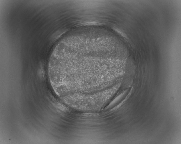X0000068811305200606021540