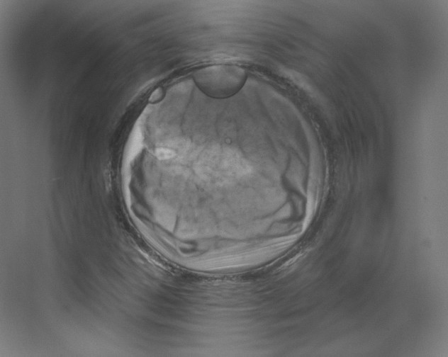 X0000068811306200606021540