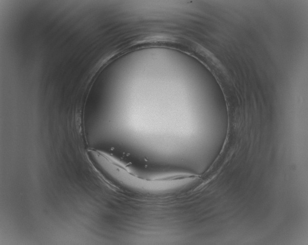 X0000068811321200606021541