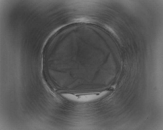 X0000068811323200606021541