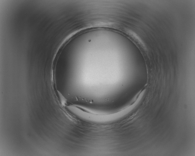 X0000068811324200606021541