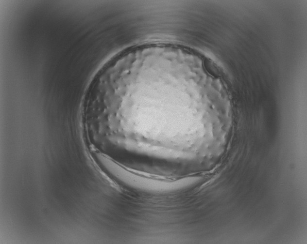 X0000068811325200606021541