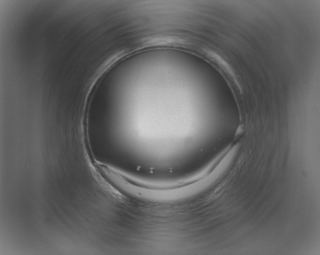 X0000068811330200606021541