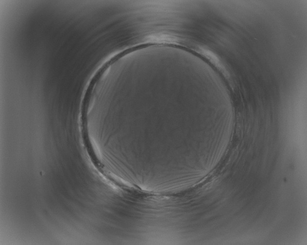 X0000068811331200606021541