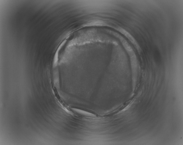 X0000068811337200606021541