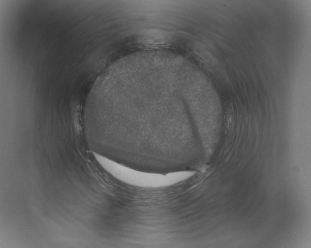 X0000068811346200606021540