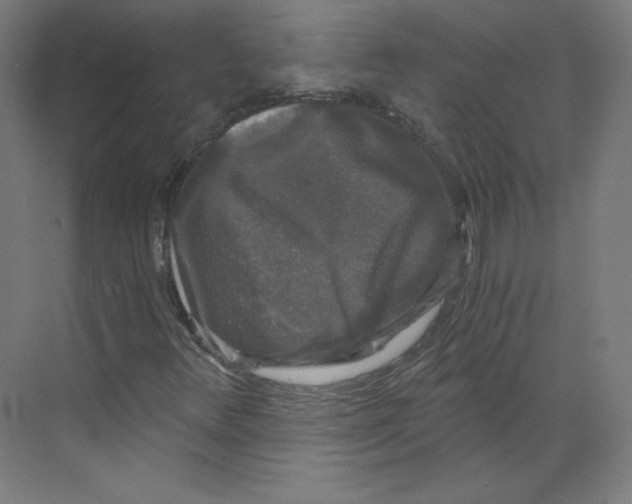 X0000068811348200606021540