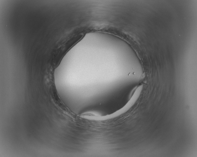 X0000068811349200606021540