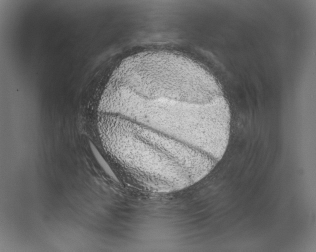 X0000068811350200606021540