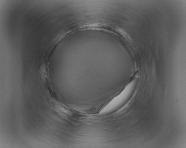 X0000068811353200606021540