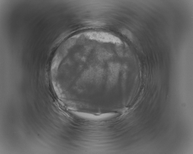 X0000068811354200606021540