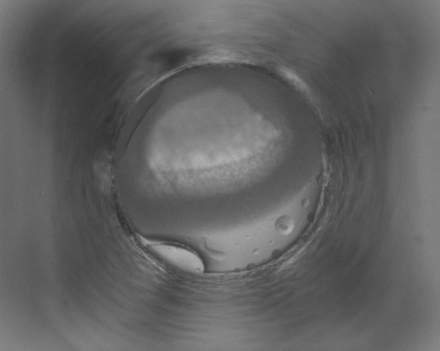 X0000068811361200606021540