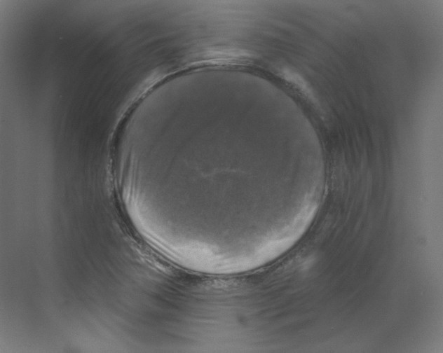 X0000068811362200606021540