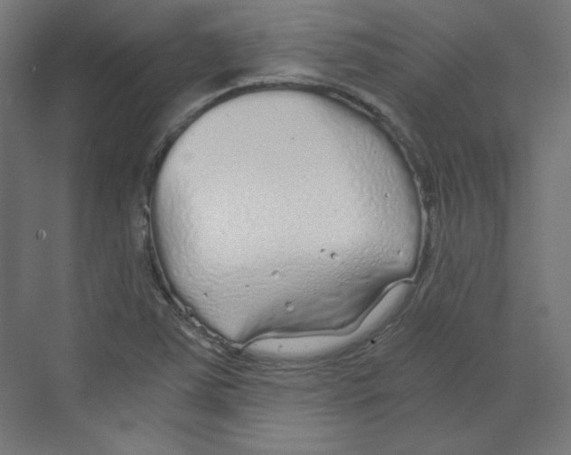 X0000068811363200606021540