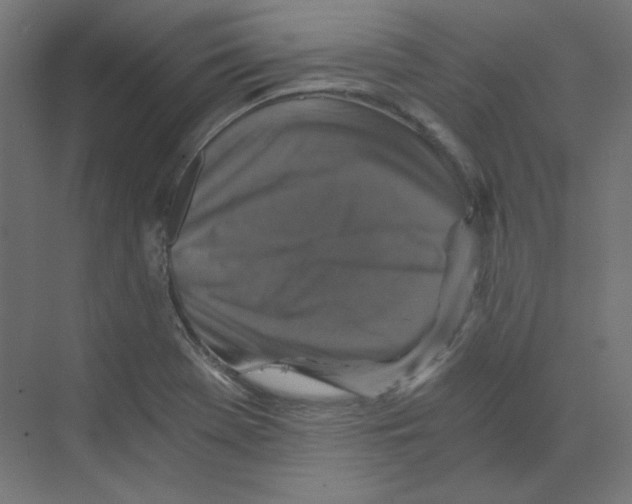 X0000068811369200606021540