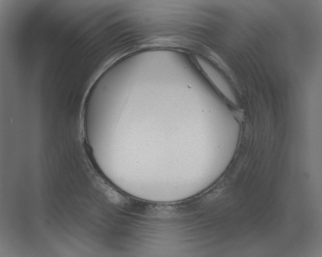 X0000068811370200606021540