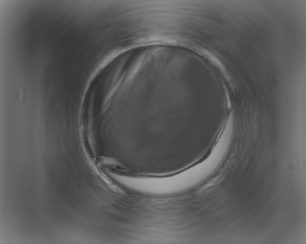 X0000068811373200606021540
