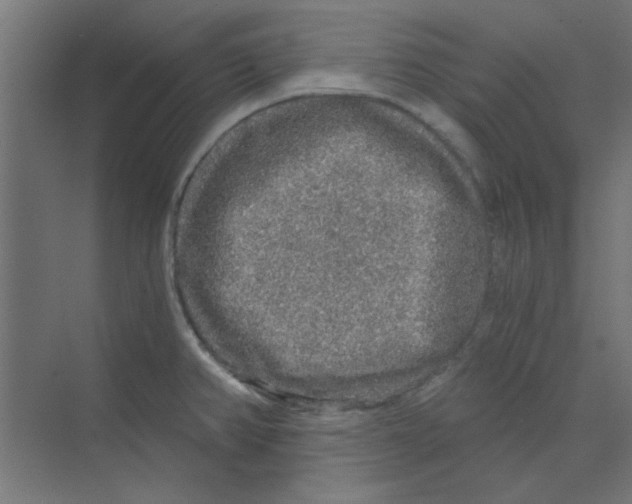 X0000068811382200606021540