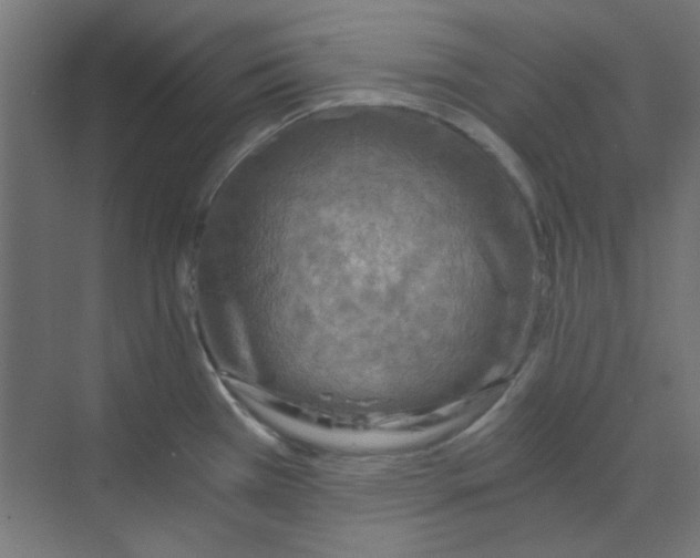 X0000068811385200606021540