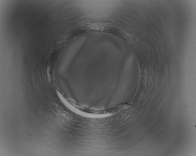X0000068811394200606021539