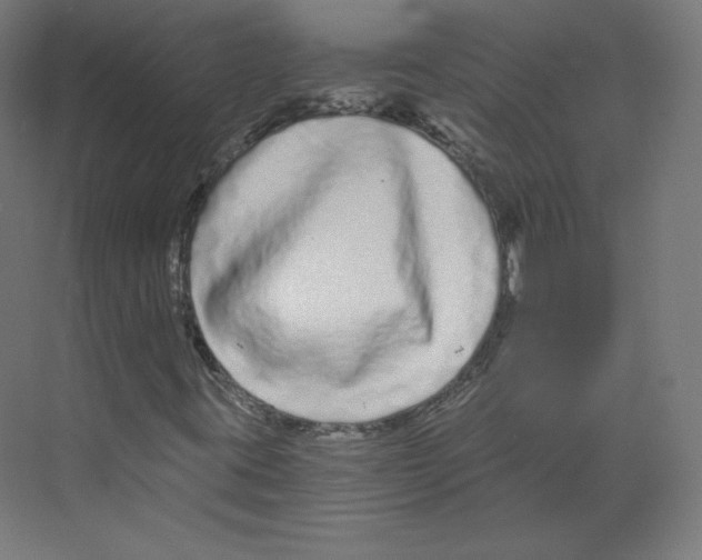 X0000068811395200606021539