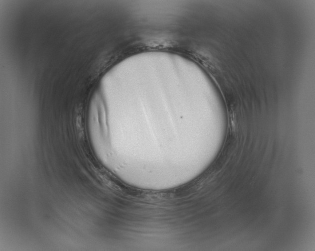 X0000068811396200606021539